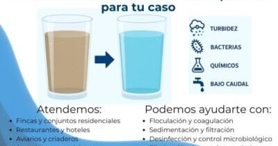 18049250006269208 s 80 400 1.jpg