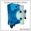 Seko Tekna AKS603 Solenoid Dosing Pump